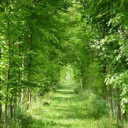 Agriturismo Ca' Marcello