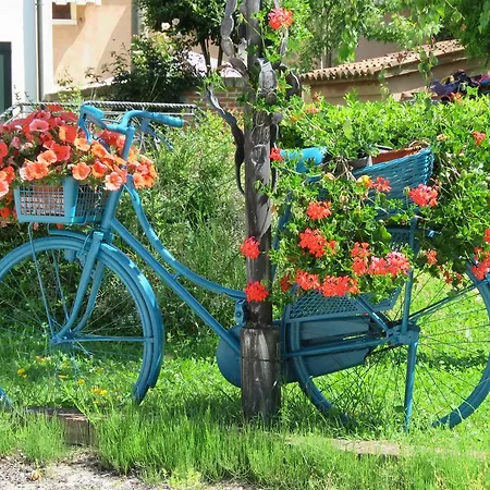 Vakantieboerderij Agriturismo Ca' Marcello *